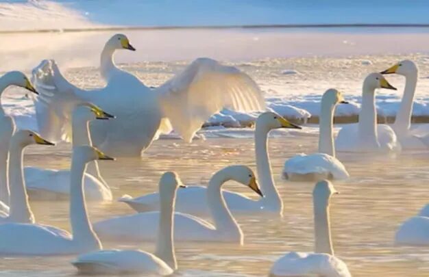 /uploads/image/2025/10/30/e8b2c88160158d51c416635ef15c3451.jpg 640 (3).jpg