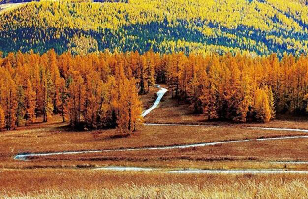 /uploads/image/2025/10/31/1857e83cb37d00ec4bcc1ebfcf37f208.jpg 2.jpg