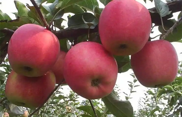 /uploads/image/2025/10/31/5e3a16331d3f053985d143c1c51751db.jpg 002.jpg