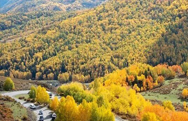 /uploads/image/2025/10/31/91778e7c5d8f5bfa972c4e2330ccb221.jpg 7.jpg