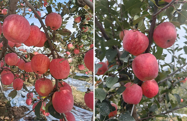 /uploads/image/2025/10/31/d32790273b316cafdb478b1fd1e6af35.jpg 004.jpg