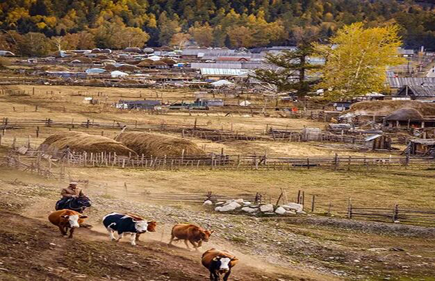 /uploads/image/2025/10/31/d483fc81372aab29830d62d4cdaf1066.jpg 3.jpg