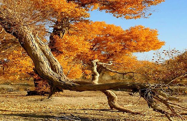 /uploads/image/2025/11/02/61ef0e03c28bebda7f123d498dd414a5.jpg 6.jpg