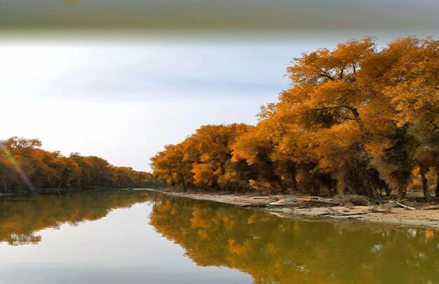 /uploads/image/2025/11/02/6bf6ffbbe2cf31eff22a14a5d7e62fb9.jpg 8.jpg