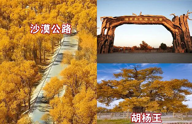 /uploads/image/2025/11/02/93b087d6df2ca757f8599ba53dd97e52.jpg 4.jpg