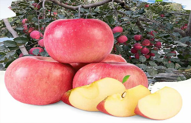 /uploads/image/2025/11/03/66c83277eedac9ea848bbb119b89ff00.jpg 9.jpg