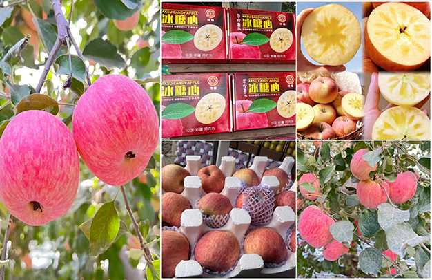 /uploads/image/2025/11/03/91ce00264ba8c69624c863306fa1b888.jpg 11.jpg