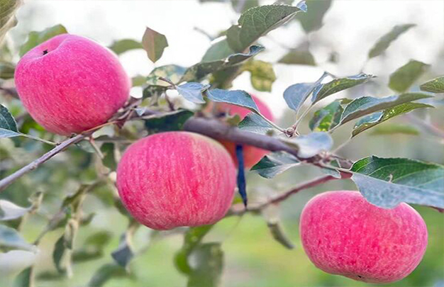 /uploads/image/2025/11/03/bdda3a13c1a873e34ebf719fd1ff6edf.jpg 3.jpg