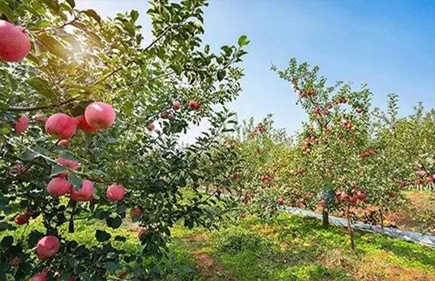 /uploads/image/2025/11/03/c94c62cf2a50c2fcd69420f76f0abe0a.jpg 6.jpg