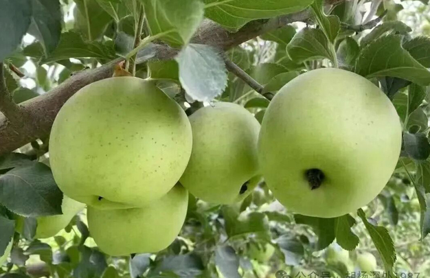 /uploads/image/2025/11/05/0e164ba38e20a42de33855c24d66273d.jpg 修 7.jpg