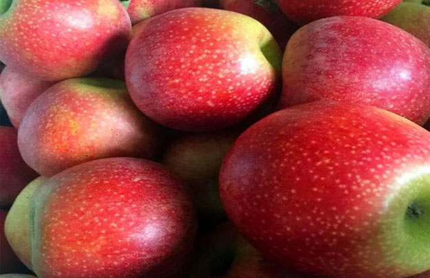 /uploads/image/2025/11/05/10e5f6acd0ea14a5bba3712a2dd901cd.jpg 修 9.jpg