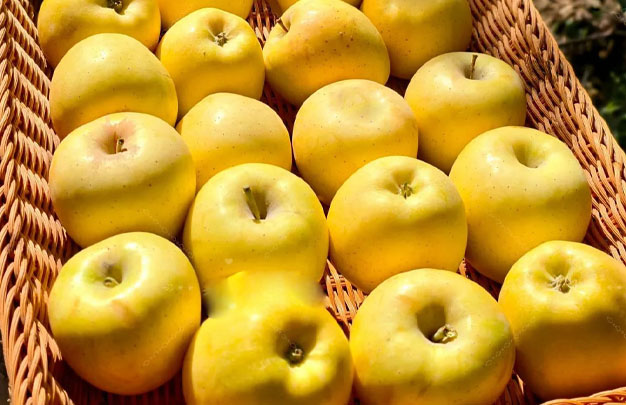 /uploads/image/2025/11/05/1f0f1feac6947ed305ed061b906f8a31.jpg 修11.jpg