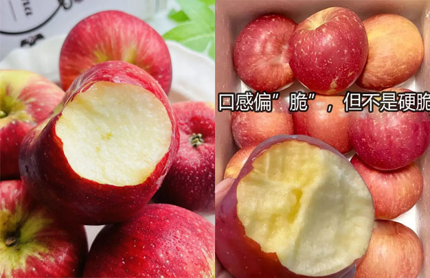 /uploads/image/2025/11/05/22e51c0c5cf383092da8679023b257a5.jpg 修 12.jpg