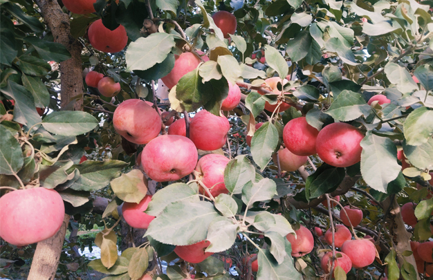 /uploads/image/2025/11/05/658161c1467d57bcad49ab8894ad4f32.jpg 修 3.jpg