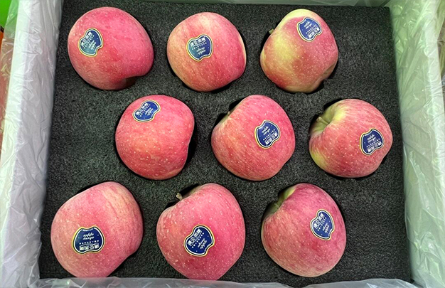 /uploads/image/2025/11/05/7fddcc7872152ab199fedfde8137b8fd.jpg 12.jpg