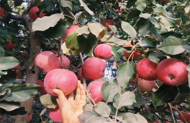 /uploads/image/2025/11/05/947e1a5d8c12c6b156f095e83681cbda.jpg 修 2.jpg