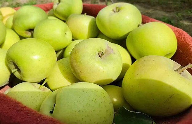 /uploads/image/2025/11/05/e5fb56a98cea7d9f025ade2c63d4a7f8.jpg 修 6.jpg