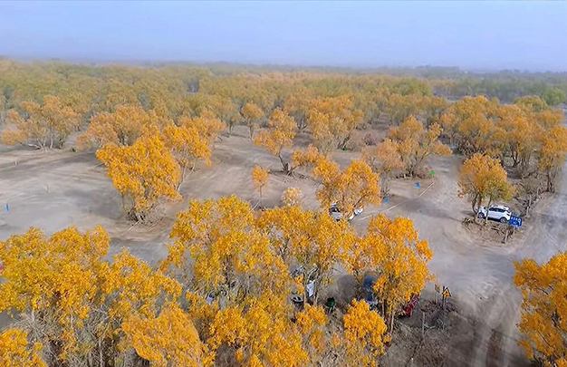 /uploads/image/2025/11/06/0e7cae205bf8a17184a5c6e8426444af.jpg 5.jpg