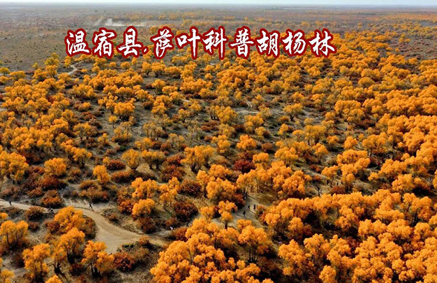 /uploads/image/2025/11/06/339d78780d245b8431ecd336e23cff4a.jpg 1.jpg