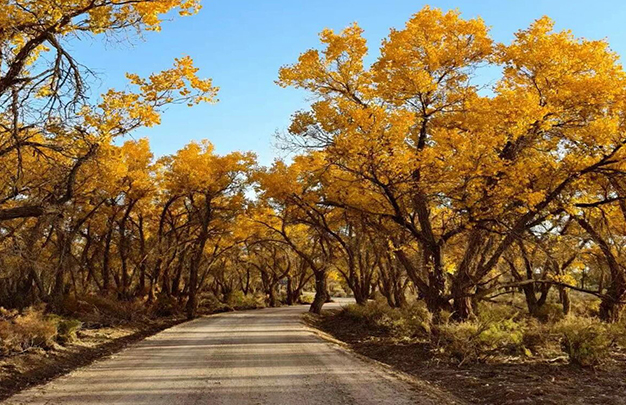 /uploads/image/2025/11/06/8ea3bc16e4ba6097da0a94624a85eb95.jpg 2.jpg