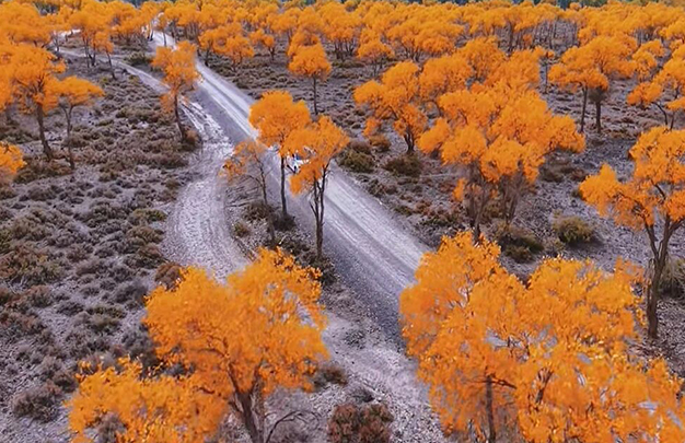 /uploads/image/2025/11/06/b5367cb626d5548ca3ca83a5788f9ea8.jpg 8.jpg