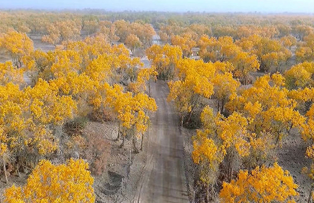 /uploads/image/2025/11/06/d3c4a375eacd72c87147e4f7707e2e1a.jpg 6.jpg