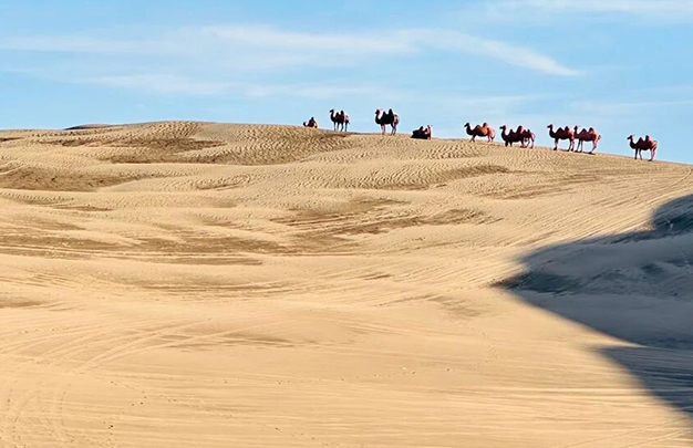 /uploads/image/2025/11/07/f2ecdaa9037c3c580f6e434e4e6ecaa6.jpg 10.jpg