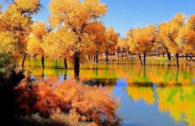 /uploads/image/2025/11/08/501d6a41e9125fe355921330140abbed.jpg 修4.jpg