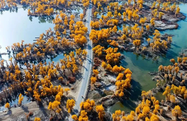 /uploads/image/2025/11/08/6e3f42e7fe8002af51ccb7686c1e4948.jpg 修1.jpg