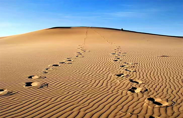 /uploads/image/2025/11/10/0f35ca4350a65461c98e0fc4f6f3db3e.jpg 11.jpg