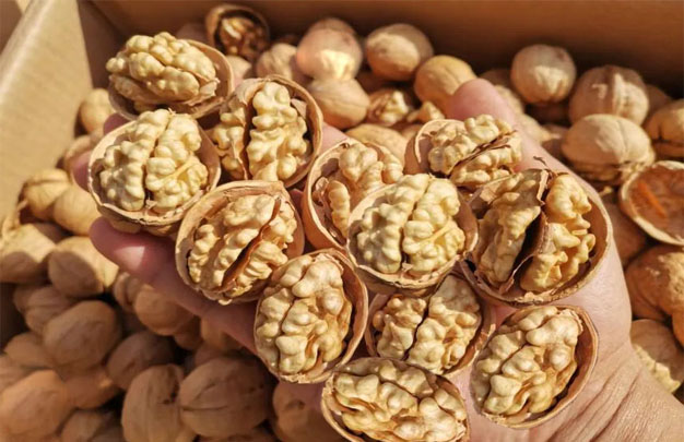 /uploads/image/2025/11/10/2bc37a9d04edc8de660612f3b531fd95.jpg 修 2.jpg