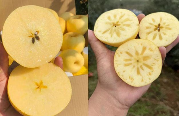 /uploads/image/2025/11/10/8947c7429273e9a2b3e71ebdfdbbc516.jpg xiu 3.jpg