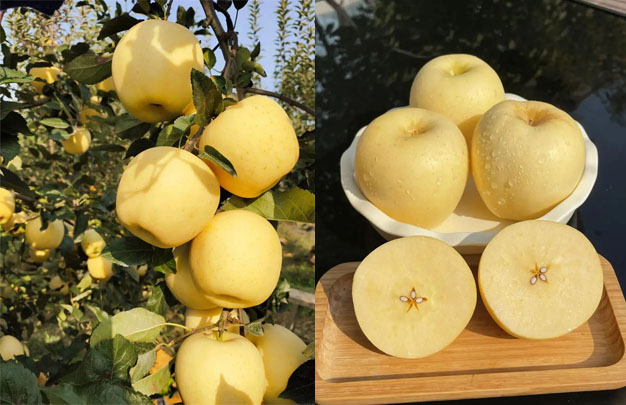 /uploads/image/2025/11/10/c7d9c4fbdf5337ea61c2565fc9aab271.jpg xiu 2.jpg