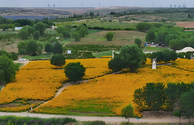 /uploads/image/2025/11/10/e0157ed65a60265c2cd8a7cc43522c5d.jpg 12.jpg