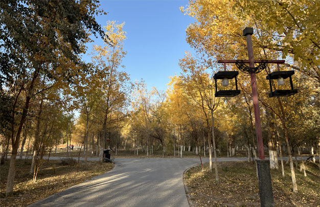 /uploads/image/2025/11/11/f4f1af8f6bd8b1a15591bb895e1a9f4f.jpg 修 3.jpg