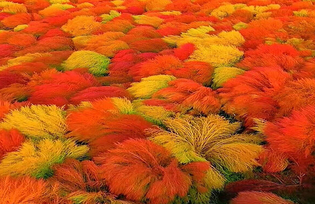 /uploads/image/2025/11/12/9728eee1bdd826b92c0b04cab409194a.jpg 5.jpg