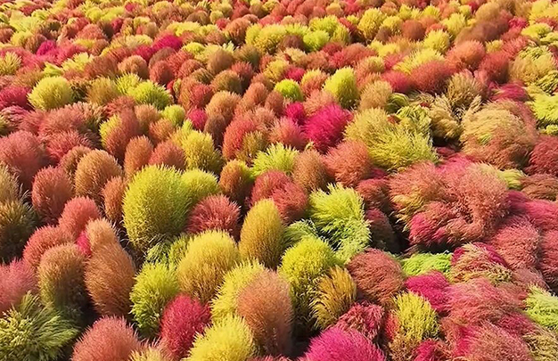 /uploads/image/2025/11/12/b59e89e21a0b25efe367db95e6ca841b.jpg 7.jpg