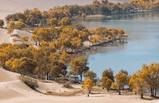 /uploads/image/2025/11/13/3752751f8656ce2453cd5874107d71d2.jpg 6.jpg