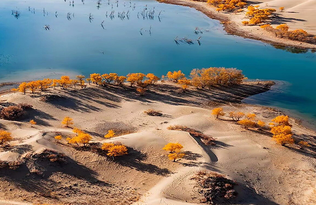 /uploads/image/2025/11/13/42331737636f37783c6644bd73a16319.jpg 3.jpg