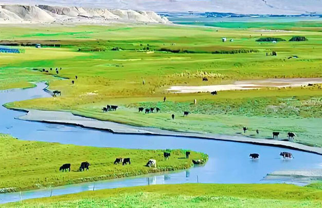 /uploads/image/2025/11/14/bfd68b76f9a17501974bfadecd0278e5.jpg 4.jpg