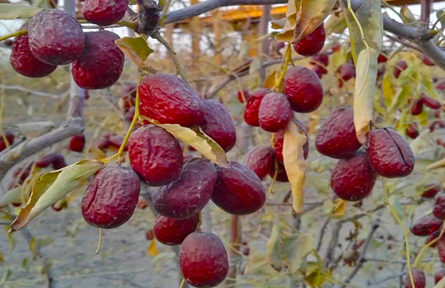 /uploads/image/2025/11/28/311382e31ebd209b72ba1e92fefe2835.jpg 4.jpg