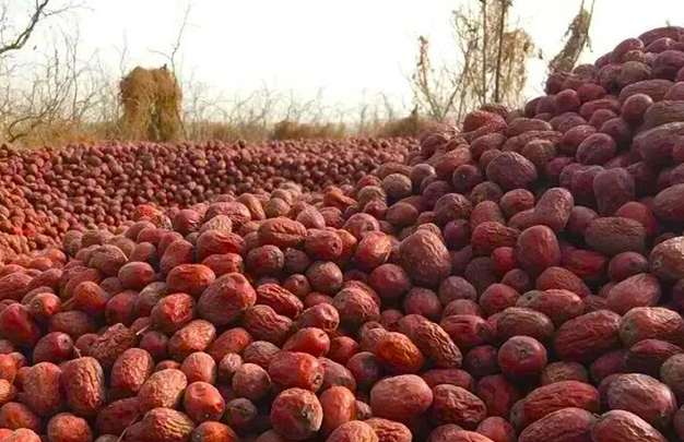 /uploads/image/2025/11/28/34e1353429691ebe0e62f36df9119757.jpg 2.jpg