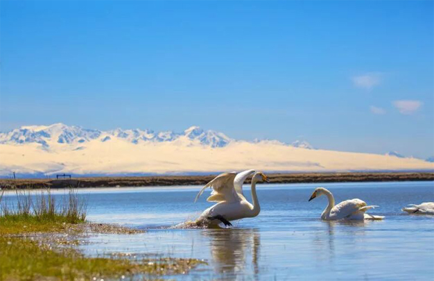 /uploads/image/2025/12/01/02c19d58289543140d16311847ffd216.jpg 修图 1.jpg