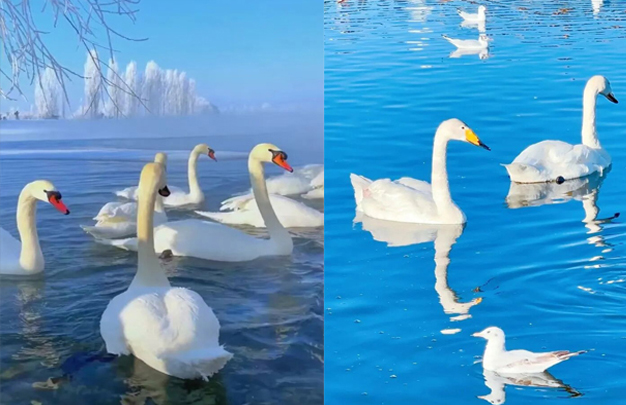 /uploads/image/2025/12/01/26cbf91f0c761b53794a57f596639e4c.jpg 修 3.jpg