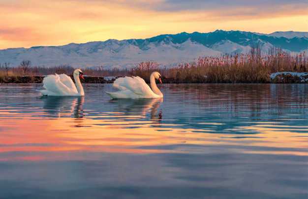 /uploads/image/2025/12/01/af42eaa17b85788362ccdcf4a5b33a50.jpg 修图 2.jpg