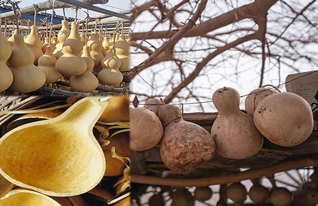 /uploads/image/2025/12/30/2fd9cb60edd4a2aec776f17c77f29019.jpg 2.jpg