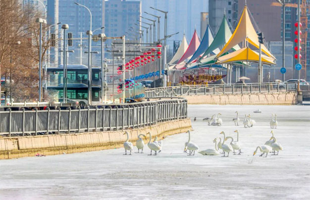 /uploads/image/2026/01/24/1be4382c5395b1feaaaf175dd3b0545d.jpg 修 4.jpg