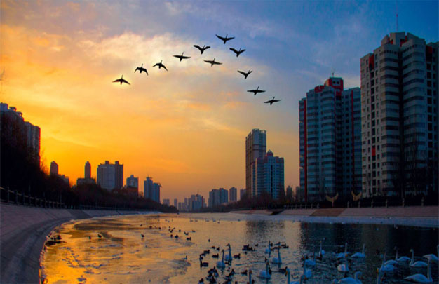 /uploads/image/2026/01/24/3997210bf78c7305a112c4a8d74a23b5.jpg 修 3.jpg