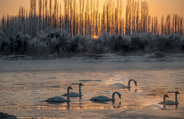 /uploads/image/2026/01/24/e183e36e11c0d3d84759a15c949599d9.jpg 修 2.jpg