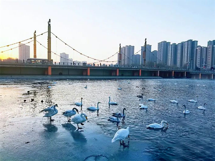 /uploads/image/2026/01/24/e4f027b097c1445d8febc76aca4c03ee.jpg xiu 4.jpg